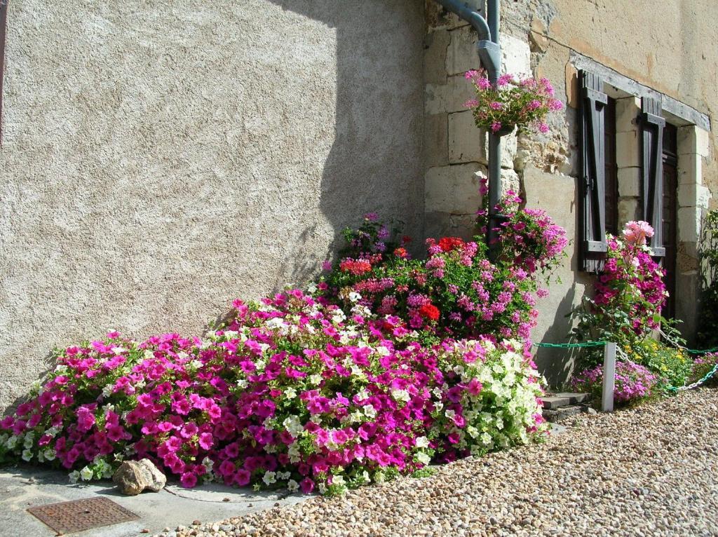 Logis Le Moulin Fleuri Hotel Veigné Exterior foto